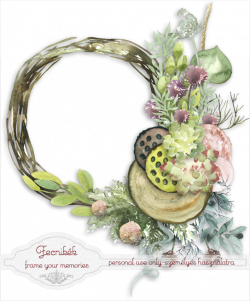 FECNIKÉK: ~~ Succulents cl.frame | Clusters | Pinterest | Cl and Scrap