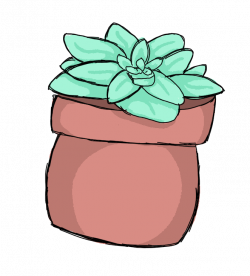 Succulent Plant Doodle by VideoGameLover15 on DeviantArt