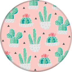 Cactus Pot PopSocket Phone Grip - Walmart.com