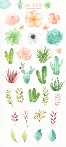 Succulent Bloom Watercolor Cliparts, Cactus, Flower Clipart ...