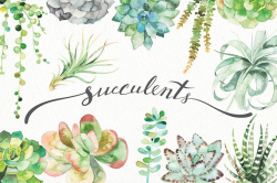 Watercolor succulent set (botanical, green, clipart, air ...