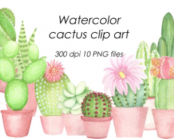 Watercolor cactus clip art, Succulent clipart, Botanical plant greenary  clip art, Hand drawn cactus flowers, Cactus scrupbooking, PNG, JPEG