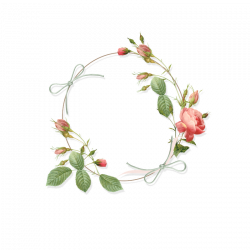 free_rouses_cluster.png (800×800) | ideas | Pinterest | Salons ...