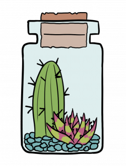 catcus™, A jar of succulents! 