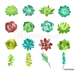 Vector illustration set of green succulent and cactus ...