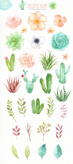 Succulent Bloom Watercolor Cliparts - Illustrations ...