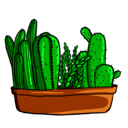 Green Cactus, Cactus, Green, Plant PNG and PSD File for Free Download