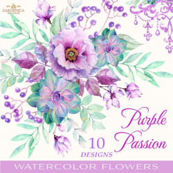 Succulents Clipart, Watercolor Succulent Clipart,Watercolor Purple Flowers,  Digital Flowers, Vintage, Rustic Clipart, Floral Elements Png