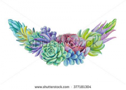 watercolor succulents, decorative illustration, floral clip ...