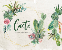 Cactus Succulent Watercolor Clipart Embellished Frames Wreaths PNG Floral  Arrangements Printable Cacti Hand Painted Drawing Texas Wedding