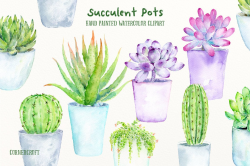 Watercolor succulent plants and cactus in contemporary pots ...