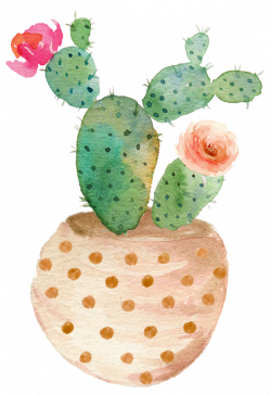 fleurs,flores,flowers,bloemen,png | cactus | Pinterest