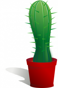 Cactus PNG image, free picture cactus download