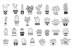 Succulent and Cactus Floral clipart ~ Illustrations ...