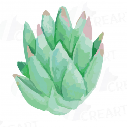 Watercolor succulent Clip art pack, Green succulents collection, Gallery  wall succulent for print u2013 Printable wall art