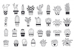 Succulent and Cactus Floral clipart - Illustrations - 2 ...