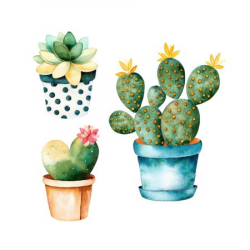Watercolor Handpainted Cactus Plant and Succulent Plant in Pot.Watercolor  Clipart,Individual Flower Print Wall Art By katerinas39