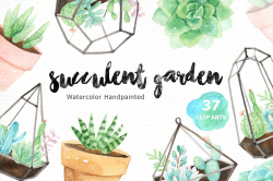 Succulent Garden Watercolor Cliparts ~ Illustrations ...