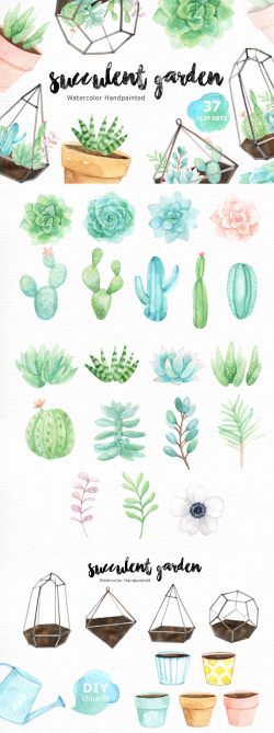 Succulent Garden Watercolor Cliparts by everysunsun | DESiGN ...
