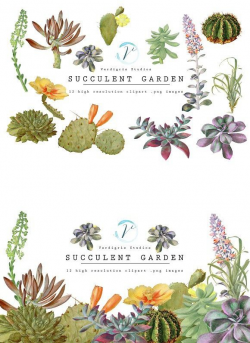 Vintage Succulent and Cactus Clipart #succulent #cactus ...
