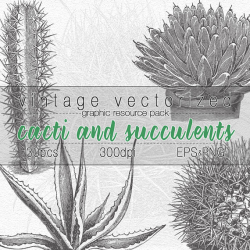 Cactus Succulent Clipart Botanical Illustration Digital Art ...