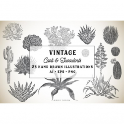 Succulent Clipart - Cactus Clip Art - Desert Clipart - Vintage Botanical  Clipart - Greenery Clipart - Instant Download - Commercial Use