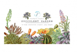 Vintage Succulents and Cactus Illustration Watercolor ...