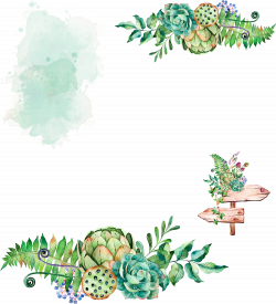 Succulent plant Watercolor painting Cactaceae - Watercolor water ...