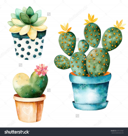 Watercolor Handpainted Cactus Plant And Succulent Plant In ...