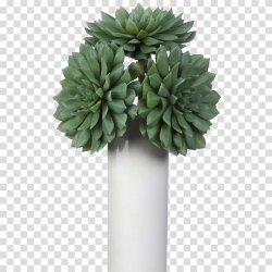 Green aesthetic, three green succulents in white vase ...