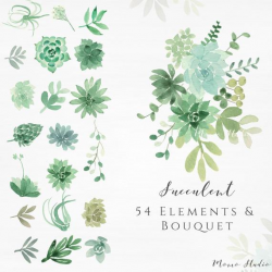 Watercolor Succulent Floral Elements Bouquet Clipart: Succulent Greenery  Florals PNG / Wedding Invitation Clip Art / Autumn Winter /B10-11