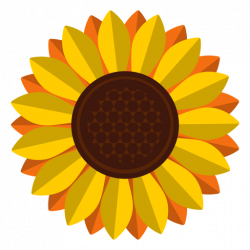 Isolated sunflower head clipart - Transparent PNG & SVG vector