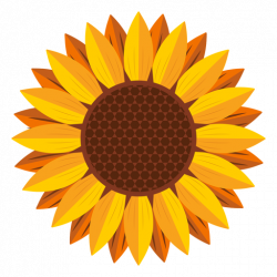 Sunflower head graphic - Transparent PNG & SVG vector