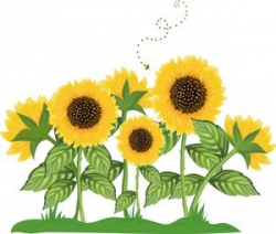Sunflower Border Clip Art | Sunflowers Clip Art Images Sunflowers ...