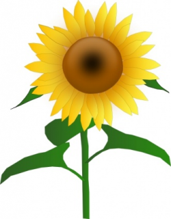 sunflowers clip art LQFNwOdT | Clipart Panda - Free Clipart Images