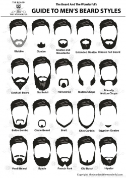 Choosing the Best Beard Style and Type for you. - The Beard ...