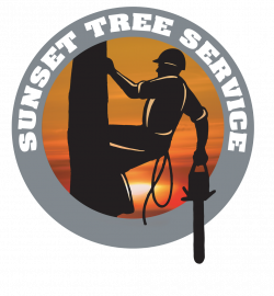 Testimonials | Sunset Tree Service