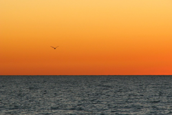 Sunset Ocean | Free Stock Photo | An ocean sunset landscape ...