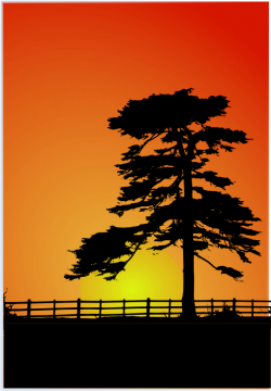 Cedar Sunset Clipart | i2Clipart - Royalty Free Public Domain Clipart