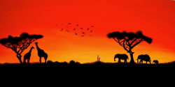 Sunset | Drawings in 2019 | Africa painting, African sunset ...