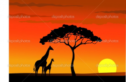 sunset animal silhouettes photos | Giraffe silhouette in ...