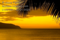 tropical sunset clipart & stock photography | Acclaim Images