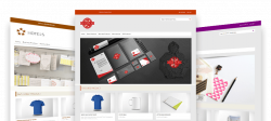 B2B & B2C Web to Print Storefront Solution | Design'N'Buy
