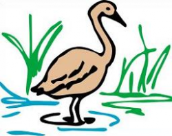 Free Swamp Clipart
