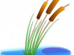 Free Reed Clipart, Download Free Clip Art on Owips.com