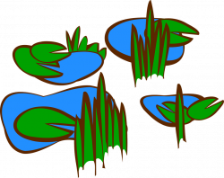 Swamp Clipart aquatic plant - Free Clipart on Dumielauxepices.net