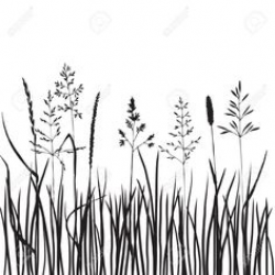 25 Best PLANT AND GRASS SILHOUETTES images | Grass ...
