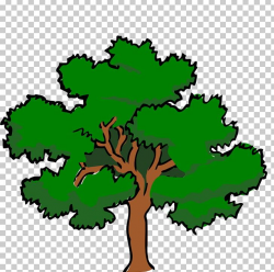 White Oak Tree Swamp Spanish Oak PNG, Clipart, Artwork ...