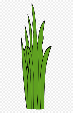Blades Of Grass Grass Weed Png Image Clipart (#2556558 ...