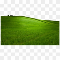 Grass Field PNG Images, Free Transparent Image Download - Pngix